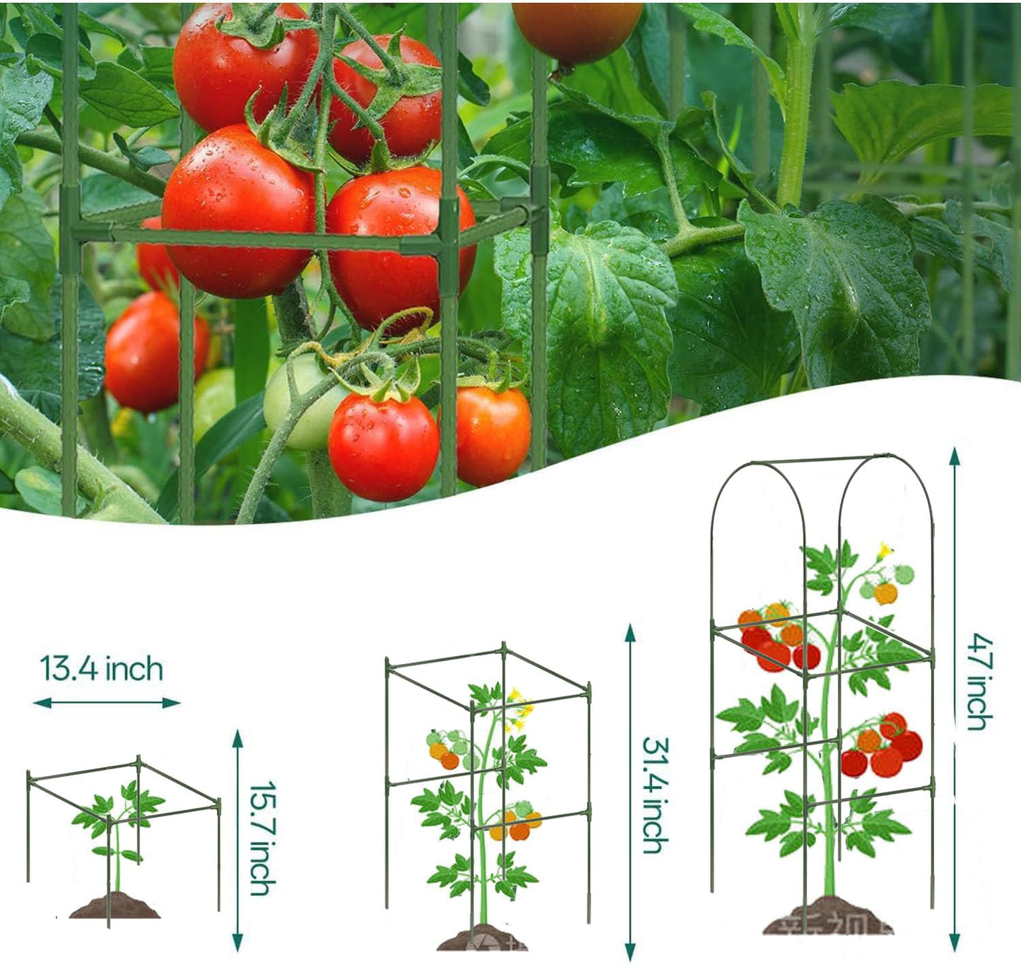 Cucumber Trellis for Plant Climbing- Cucumebr Arch Trelli for Flower Vine Vegetable Tomato Cage Raised Bed- Foldable Garden Tunnel Trellis