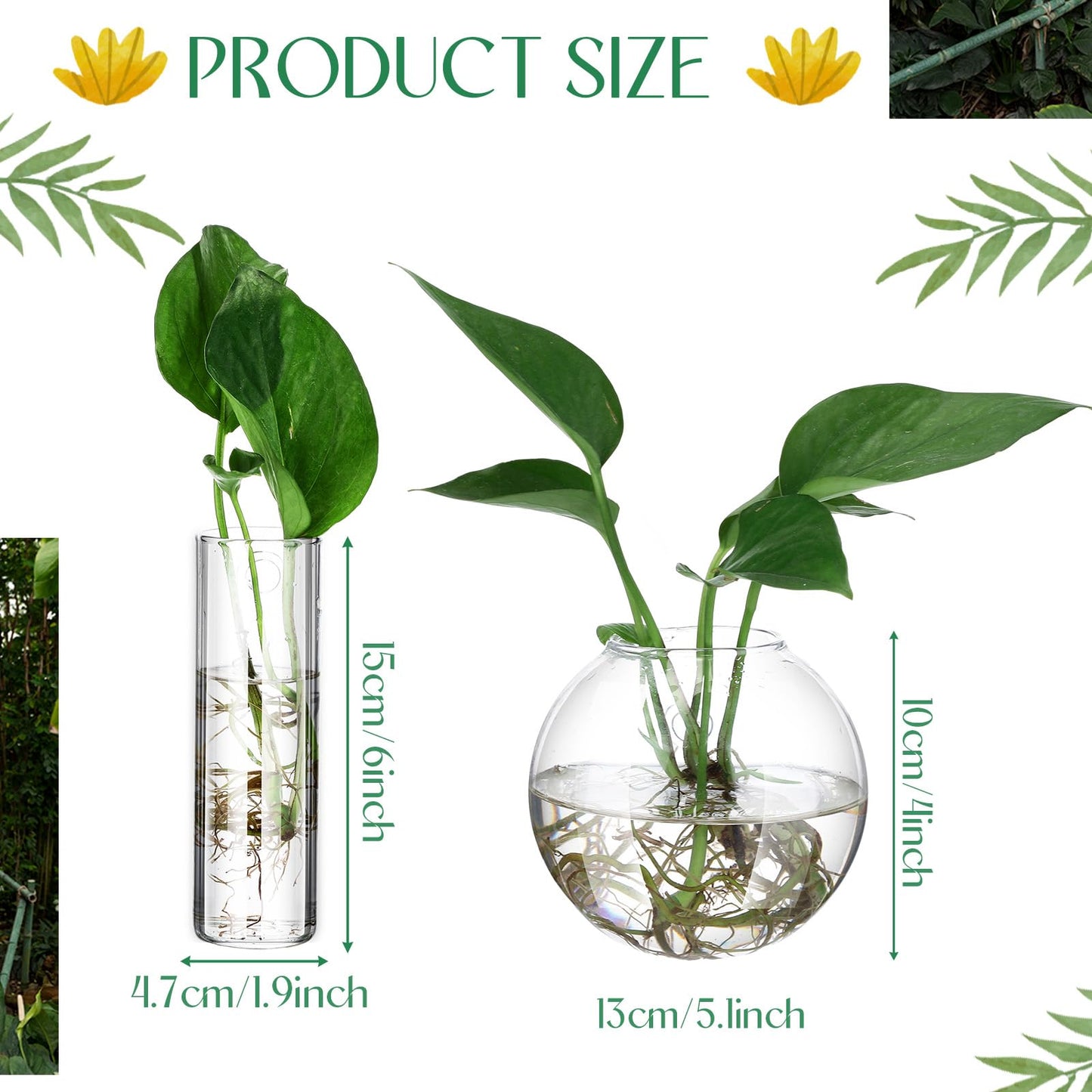 Baderke 6 Pcs Glass Wall Hanging Vase Indoor Propagation Planter with Hanging Suction Cup and Plastic Invisible Traceless Hanger for Hydroponic Flower Succulent Spring Summer Wedding Wall Mount Decor