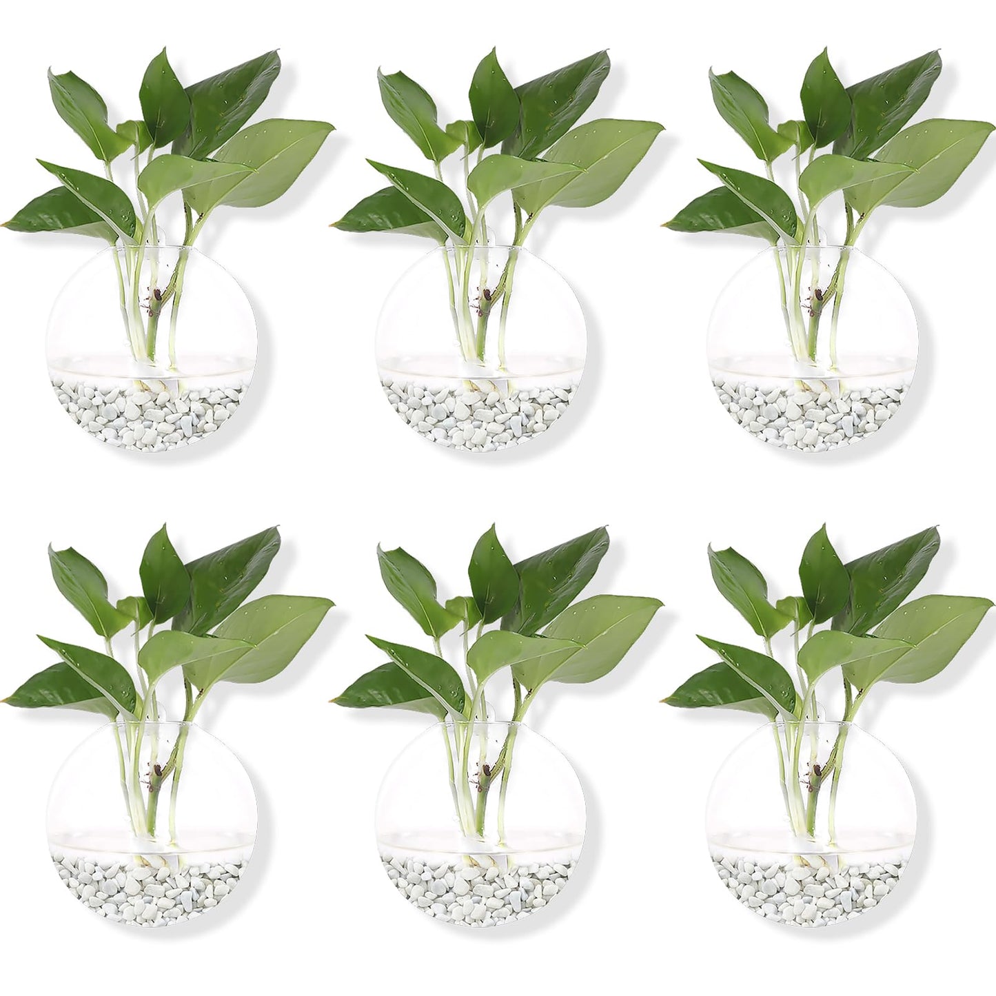 Hanging Wall Planters Pack of 6 Glass Plant Pots Round Wall Vases for Flowers Hanging Propagation Station Glass Plant Holder Wall Terrariums Plant Container
