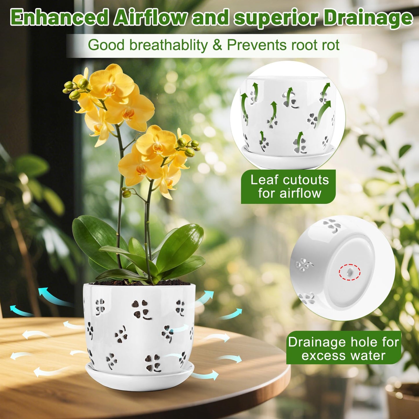 REMIAWY Orchid Pot, 6 Inch and 5 Inch Large Ceramic Orchid Planter with Drainage Holes and Saucer, Decorative Flower Pots for Indoor Outdoor Plant Repotting, Succulent, Good Air Circulation, 2 Packs