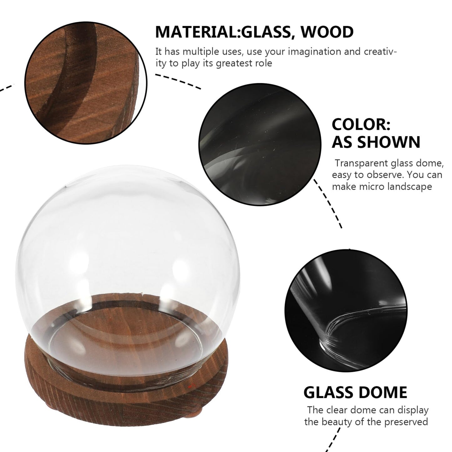 HOMSFOU Glass Display Dome with Wood Base 5.3 Inch Clear Glass Cloche Terrarium Globe for Miniature Plants Preserved Flowers and Home D Cor