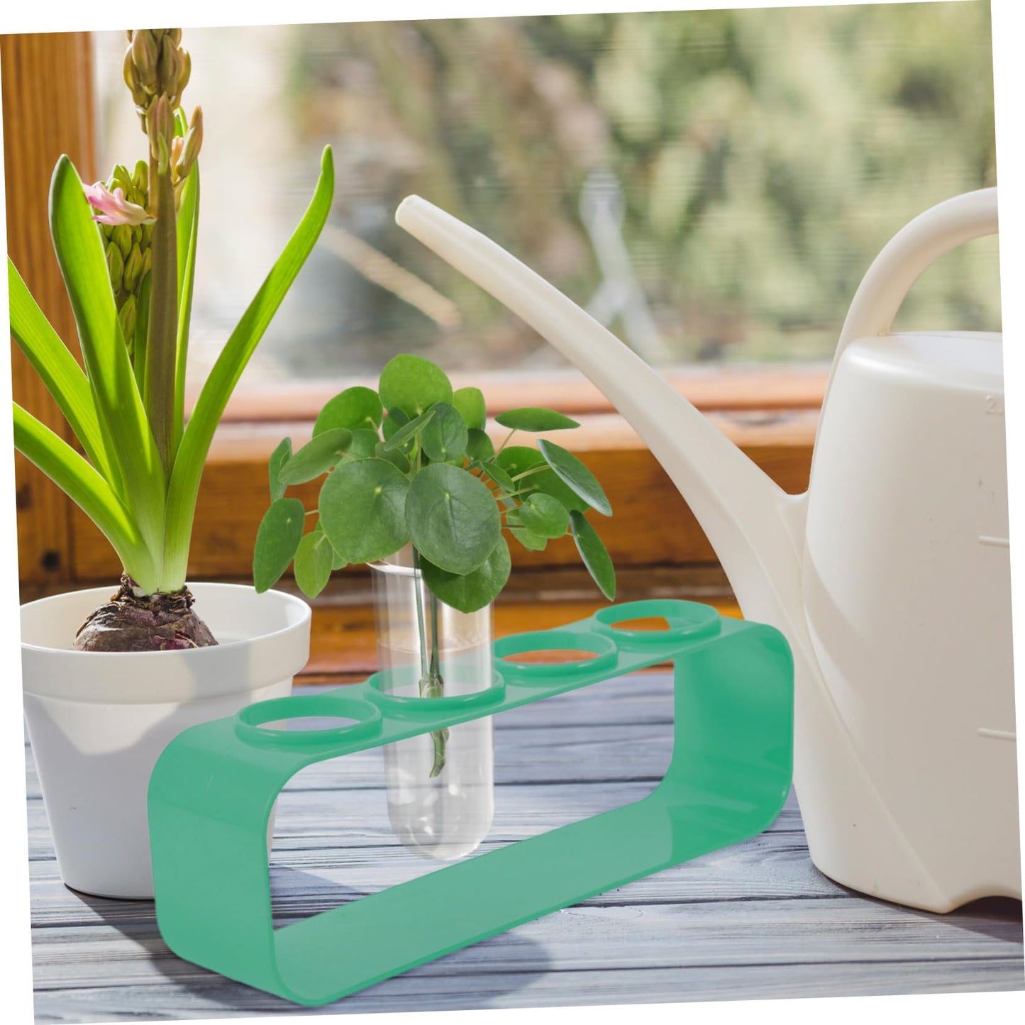 Garneck 4pcs Glass Plant Test Tube Vase Small Vases for Hydroponic Flowers Terrarium Desk Decor