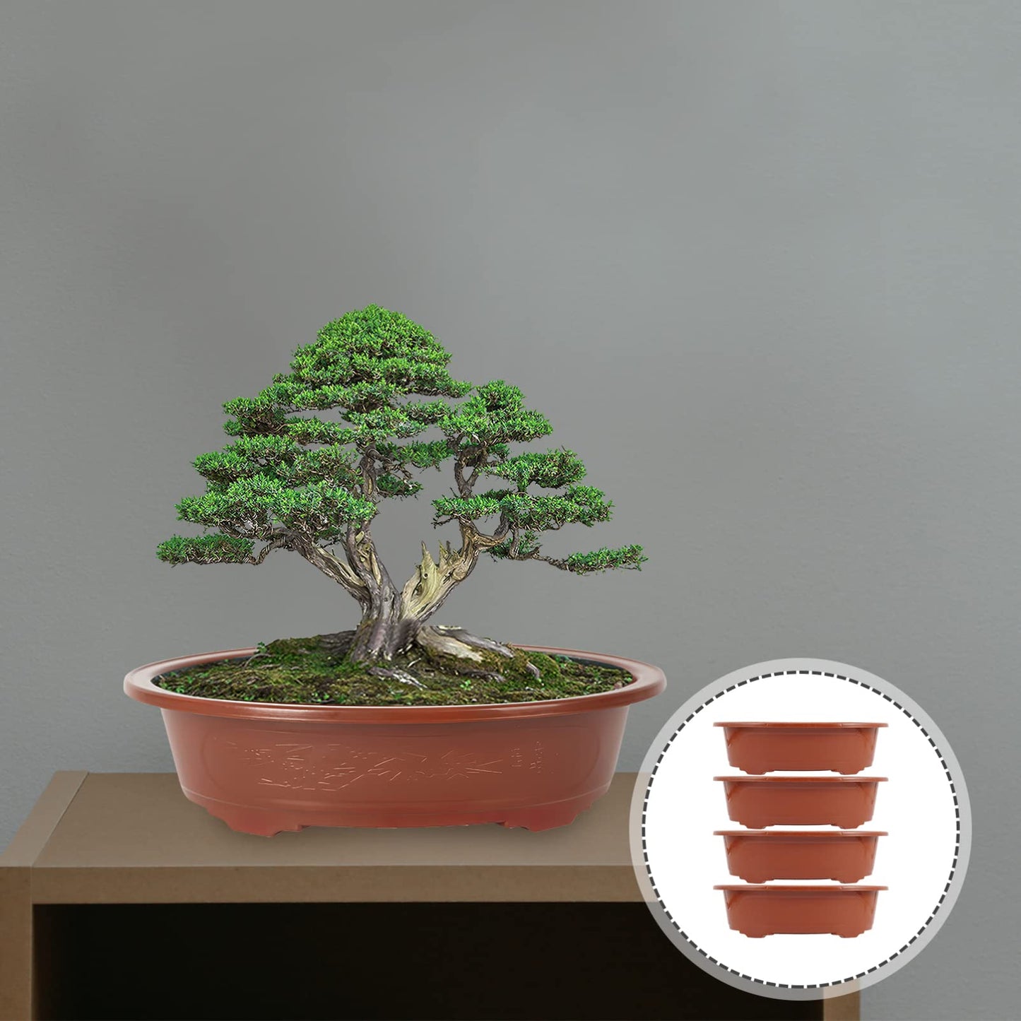 GANAZONO Planters Bonsai Training Pot Plastic Plants Growing Planter 4pcs Oval Oval Bonsai Pot Flowerpot Bowl Plants Growing Pots Brown Plant Pots