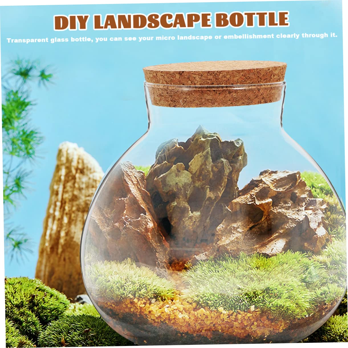 EPIGEIST Round Glass Terrarium Bottle with Cork Stopper Multi Purpose DIY Plant Holder for Succulents Home Decor and Events Micro Landscape Jar