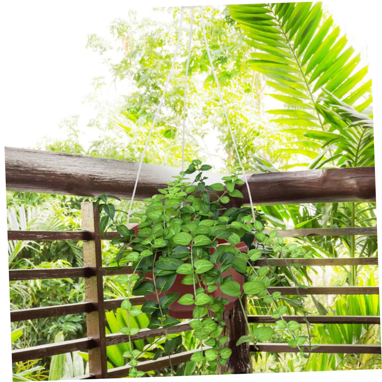 Garneck 20pcs Hanging Flower Pot Hangers Hooks for Indoor and Outdoor Use Stylish Planter Holder for Gardens Balconies and Living Rooms Elegant Design for Pothos and Plants