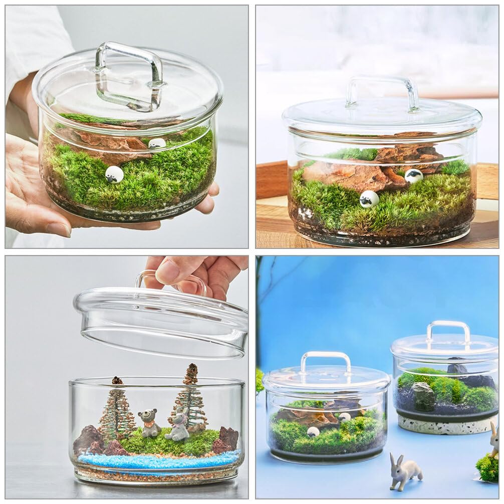 Baluue Creative Jar with Lid Glass Plant Terrarium with Lid Round Fish Bowl Air Planter Bulb Succulent Pot Vase Micro Landscape Bottle for Tabletop Decoration Bud Vases