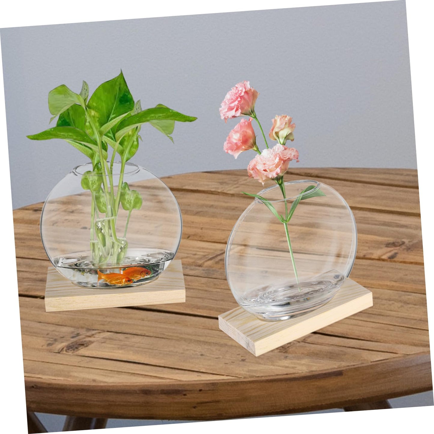 balacoo 2sets Hydroponics Glass Vase Small Propagation Terrariums with Eucalyptus Base for Indoor Plant Display Home Decor and Flower Propagation for Greenery and Floral Arrangements