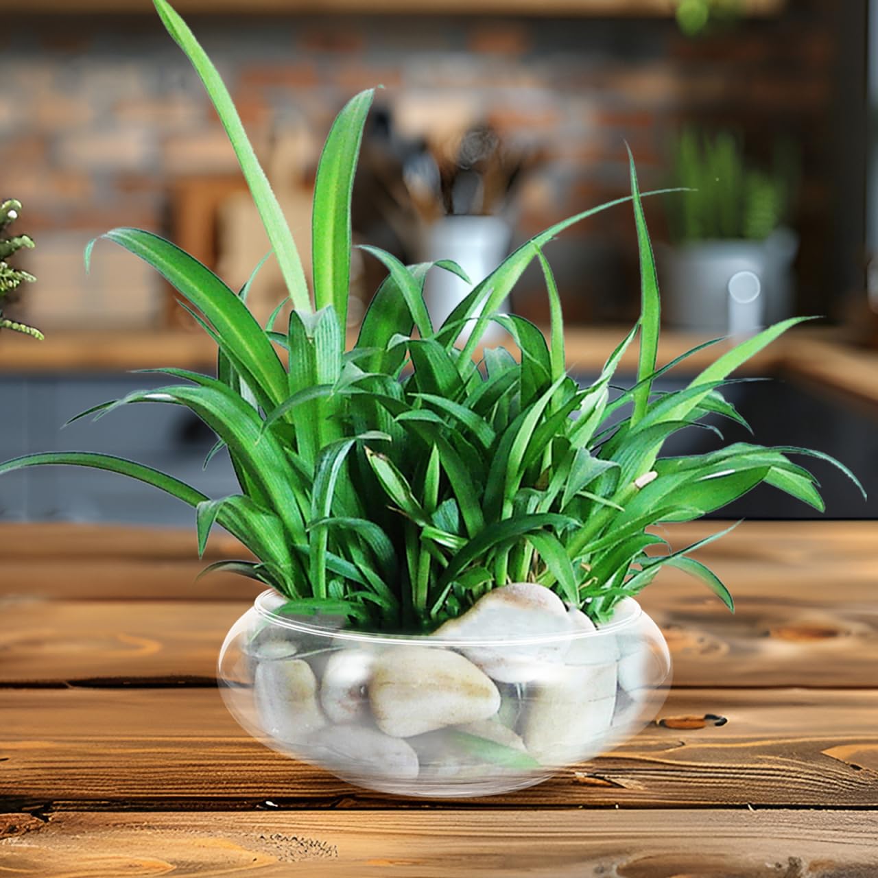 Glass Terrarium Bowl: 5.90" Round Shallow Planter and Betta Fish Tank - Clear Glass Bowl Vase for Hydroponics, Succulents and Wedding Table Decor (15cm Wide)
