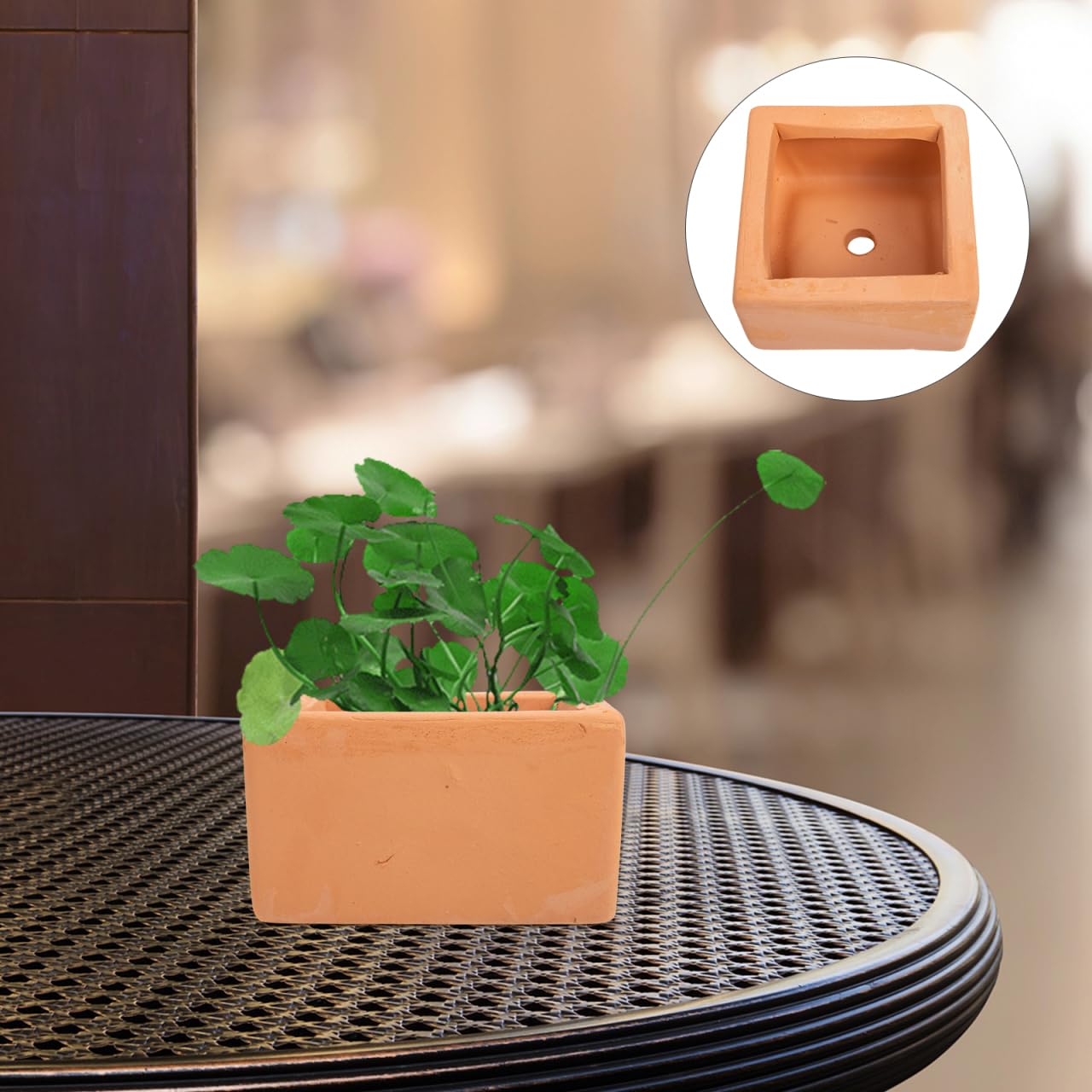 BESTOYARD 3 Pcs Small Square Terracotta Planters with Drainage Holes 3.54X1.96 Inch Clay Flower Pots for Indoor Outdoor Gardening and Succulent Plants