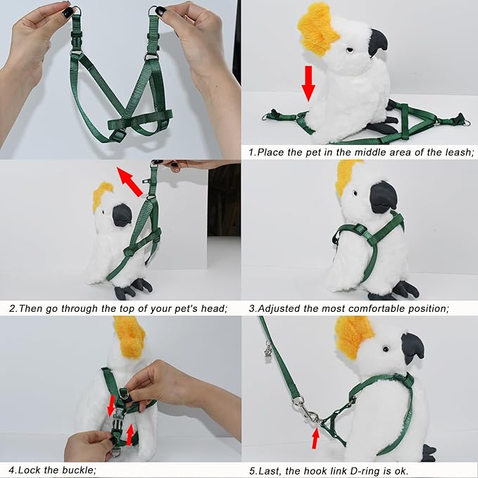 ASOCEA Adjustable Bird Harness and Leash for Yellow Naped Amazons Galah Cockatoos Small to Medium Breed Parrots Fits Birds Chest Between26-40cm /10.24-15.75inch - S