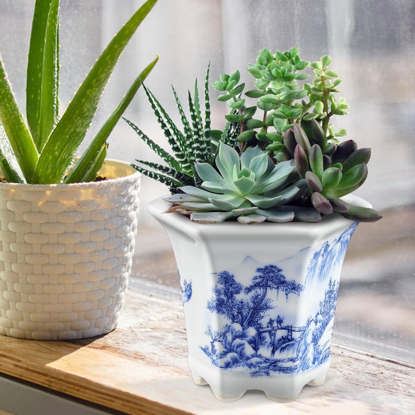 Yardenfun Blue and White Porcelain Planter Pot for Indoor Plants Small Ceramic Succulent Flowerpot Asian Style Oval Home Garden Decor