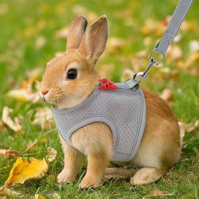 Red Rabbit Harness and Leash Set, with Cute Bow Soft Breathable Mesh Bunny Vest Harness for Rabbits Kitten Ferret Puppy Small Pets Walking, S