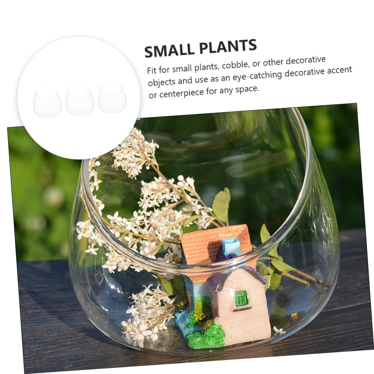 Zerodeko 3pcs Slant Cut Glass Terrarium Bottles for Micro Landscape, Succulent Plant Ecological Display, Glass Desk Ornament for Home Décor and Desktop Gardening