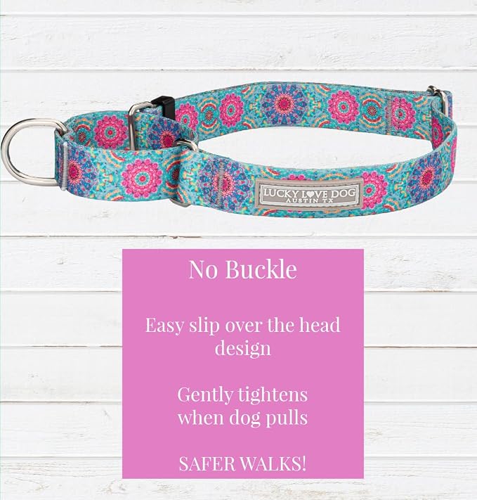 Lucky Love Dog Martingale Dog Collar - Adjustable, No-Slip, Durable, & Soft Webbing Collar for Male and Female Dogs Ideal for Training & Walking - Clara, Small