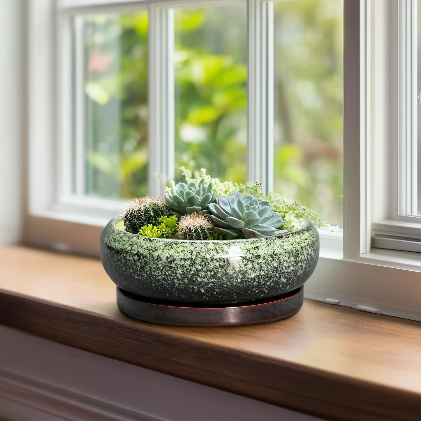 EPFamily Bonsai Pots 8 Inch - Ceramic Succulent Pots with Drainage Hole and Saucer, Shallow Plant Pot for Indoor Outdoor, Bonsai Tree Pots, Round Planter Bowl, Home Decor, Gift for Plant Lover, Green