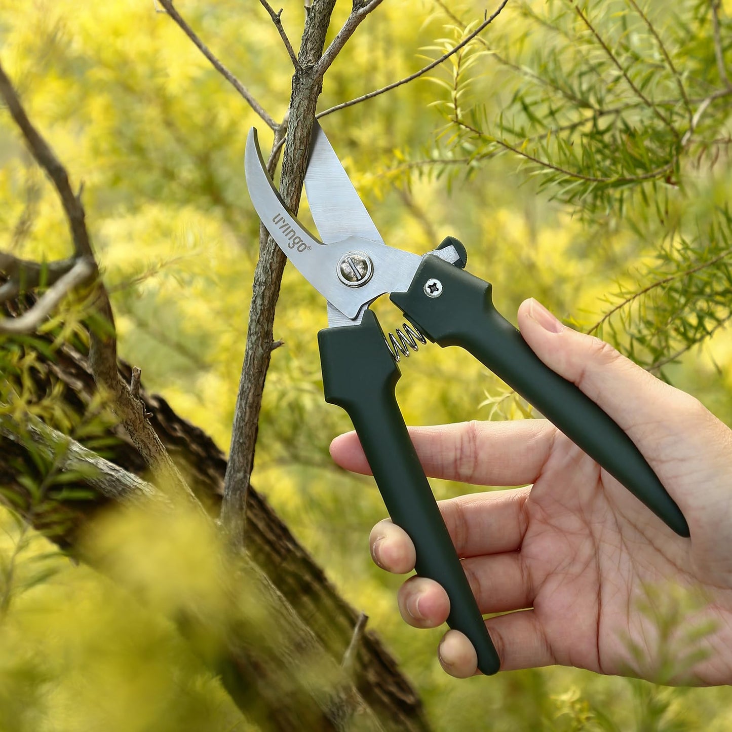 LIVINGO 7.5 Inch Garden Pruning Shears Set, Stainless Steel Straight & Curved Blades with Spring Lock, Hand Pruners for Trimming Plants, Flowers, Herbs and Small Branches