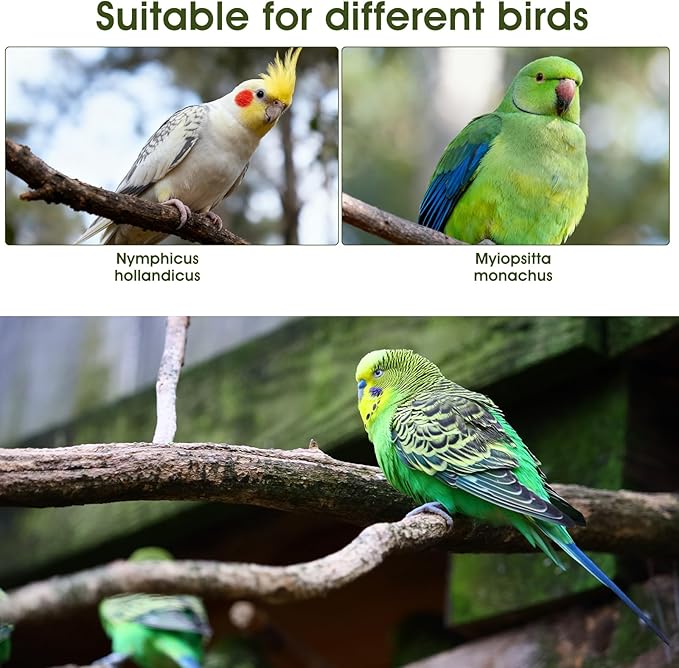 4 Pcs Bird Diaper, Parrot Diapers with Waterproof Inner Reusable Flight Suit Cute Soft Bird Diaper Clothes for Parakeets Cockatiel Canary Monk Parakeet (L)