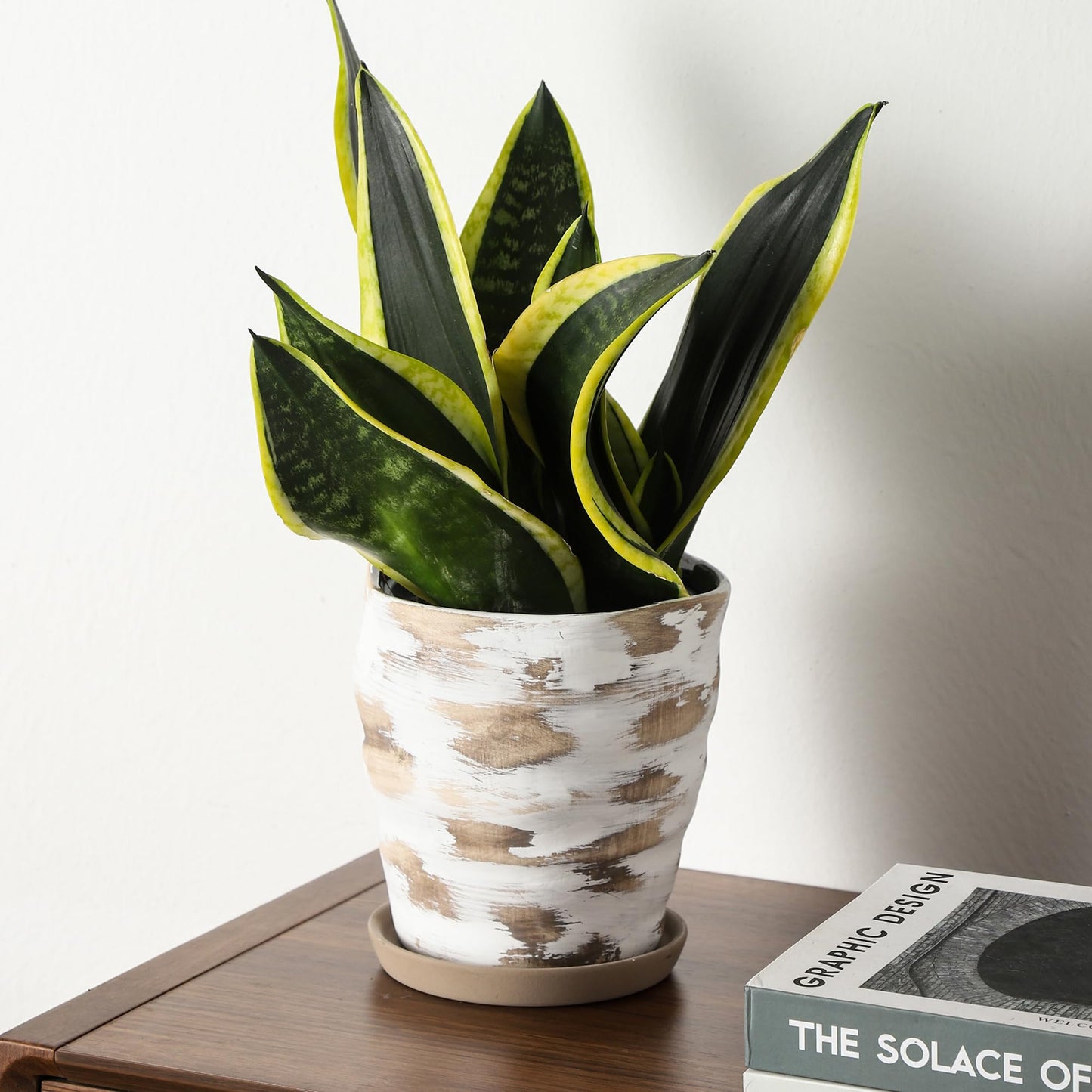Pkeo Bbun 4+6 Inch Ceramic Planter Set of 2 with Drainage Hole,Saucer for Plants, Indoor-Outdoor Large Round Succulent Orchid Flower Pot- Cement Paint, Inner-pots not Larger Than 5 Inch Light Brown