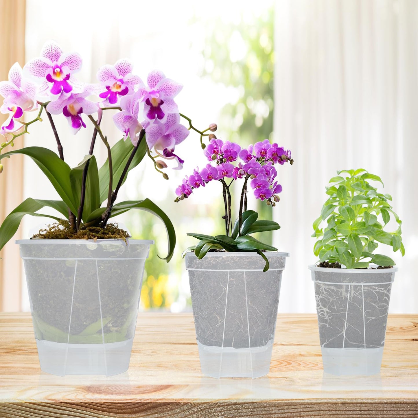 Cdd's Path 6-Pack Bare Root Planter Self Watering Pots Set with Holes for Indoor/Outdoor Plants, 2 Each of 5, 6 and 7 Inch Planter Pot with Watering Hole/Reservoir and Air Pipes, Clear