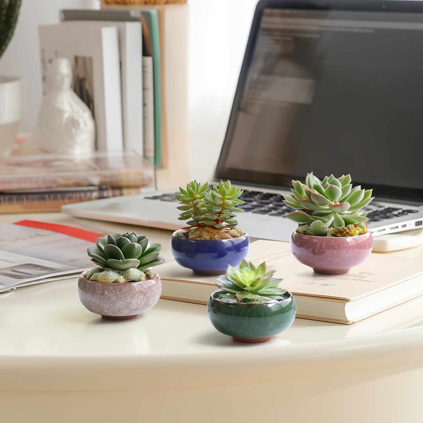 T4U 2.5 Inch Small Ceramic Succulent Planter Pot with Drainage Hole Set of 12, Ice Crack Glaze Plant Container for Cactus, Plant Lover Gifts for Women Mom Aunt Home Office Decor