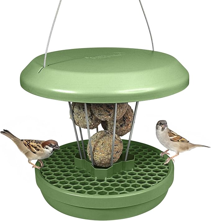 SWISSINNO Bird Feeders - No Mess Fat Ball/Suet Feeder for Outdoors Hanging - Smart Birds Lucerne Spill Proof Wild Cardinal Bird Feeder with Integrated Seed Catcher Tray - Sage