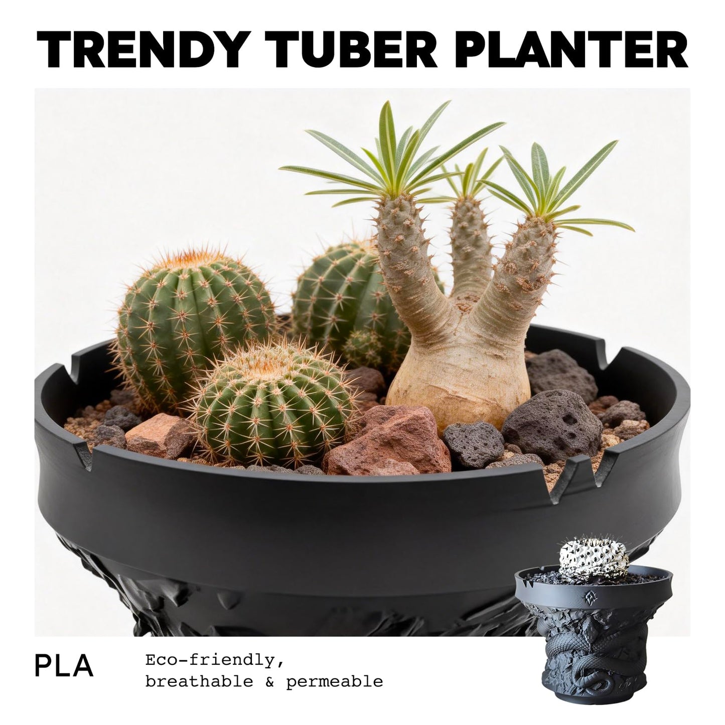 Dak Haan Succulent Pot with Drainage – Indoor Plant Pots, Artistic Design Flower Pots,Personalized Custom Mothers Day Plant Pot, ShallowSucculents Pots Bowls for Home, Office, Weddings & Party Décor