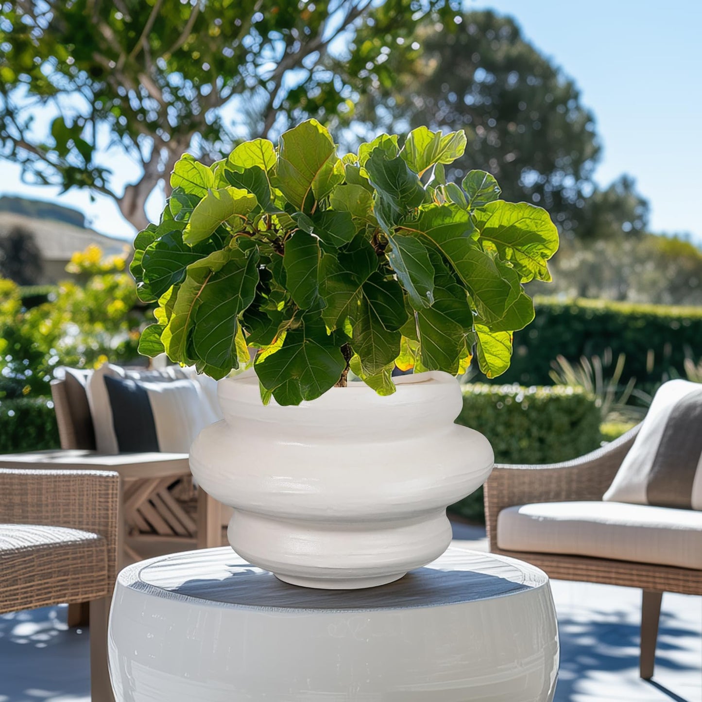 Teagas Ceramic Plant Pots Bonsai 10.6 Inch - Flower Pots for Indoor Plants, Large Plant Pots with Drainage Hole, Decorative Planter Outdoor Flower Pot for Office, Gift for Men Women, White