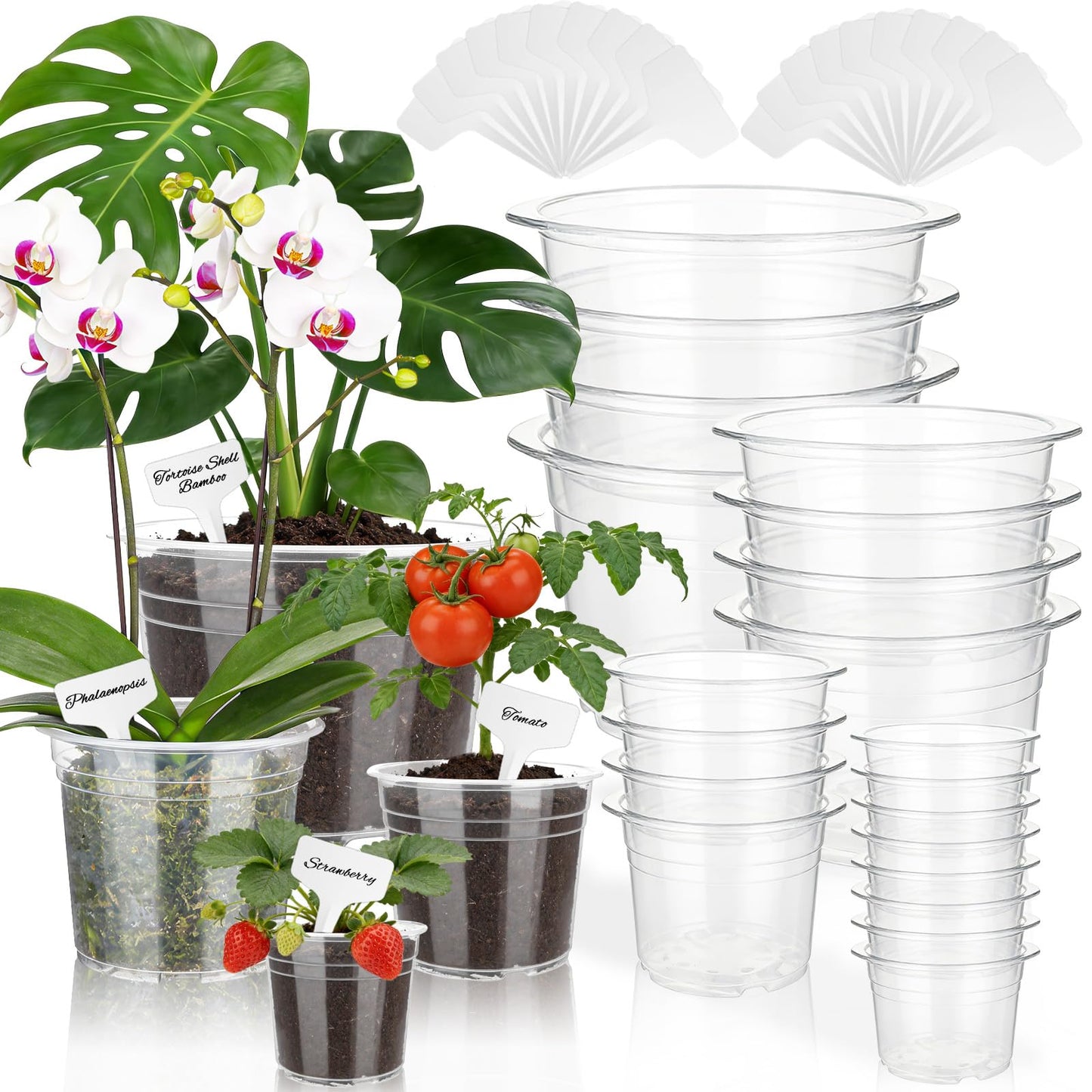 Ysglory 20 Pcs Clear Nursery Pots 4/6/7/10 Inch Plastic Plant Pots with Drainage Holes for Seed Starting Planters Transparent Reusable Seedlings Pot - 20 Plant Labels