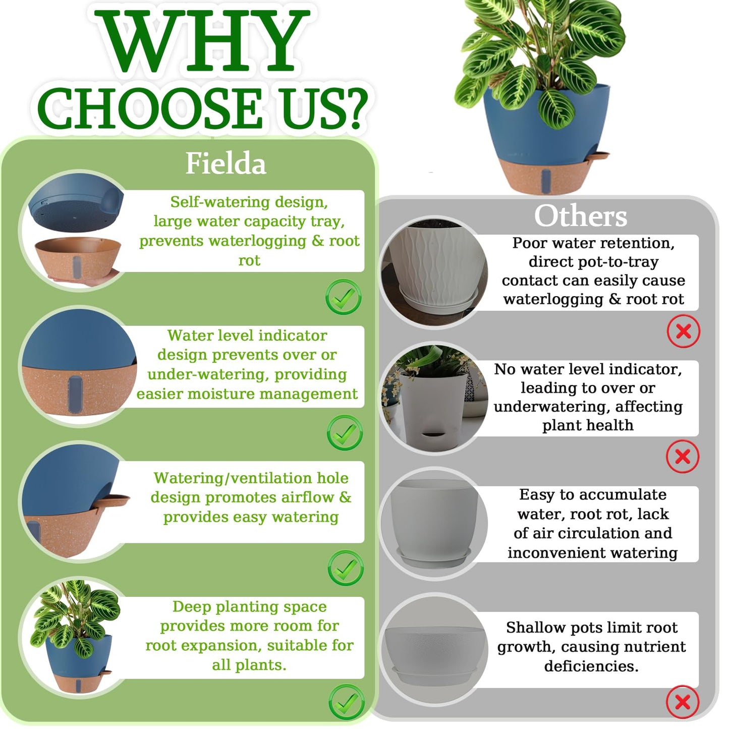 2 Pack 10 inch Plant Pots and 6 Inch Self Watering Pots for Indoor Plants (5-Pack), Plastic Planters with Water Window, Drainage Holes & Trays, Indoor Outdoor Flower Pots
