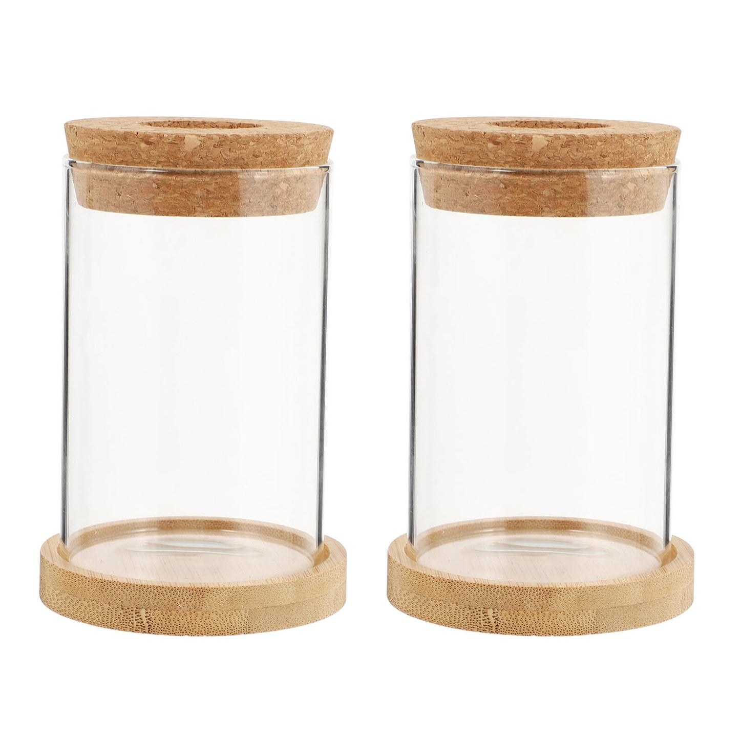 SHINEOFI 2pcs Glass Hydroponic Plant Vase Set with Stand, Desktop Glass Containers for Home and Office Garden Decoration, 6.5x10cm Eco Terrarium Bottles for Water Propagation