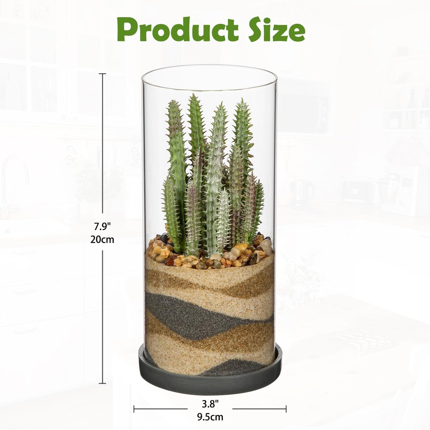 GnFlus Artificial Succulent in Cylindrical Glass Vase Fake Cactus Plant with Modern Glass Terrarium for Home Decor Farmhouse Hostess Gift