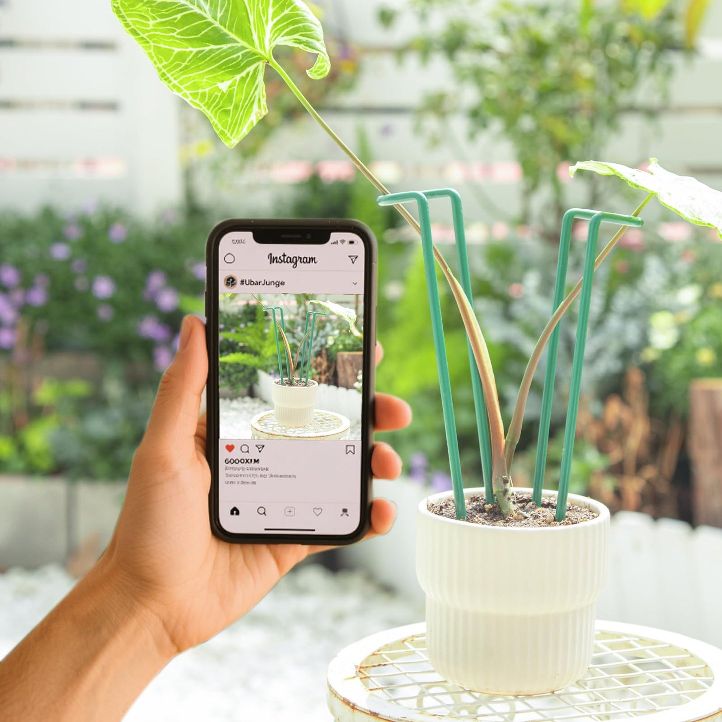 GOOOXIM Indoor Plant Stakes – 8.7" U-Shaped Durable Iron Support for Monstera & Potted Plants, Perfect for Small to Medium Climbing Plants, 10-Pack, Ideal for Home Décor & Plant Lovers