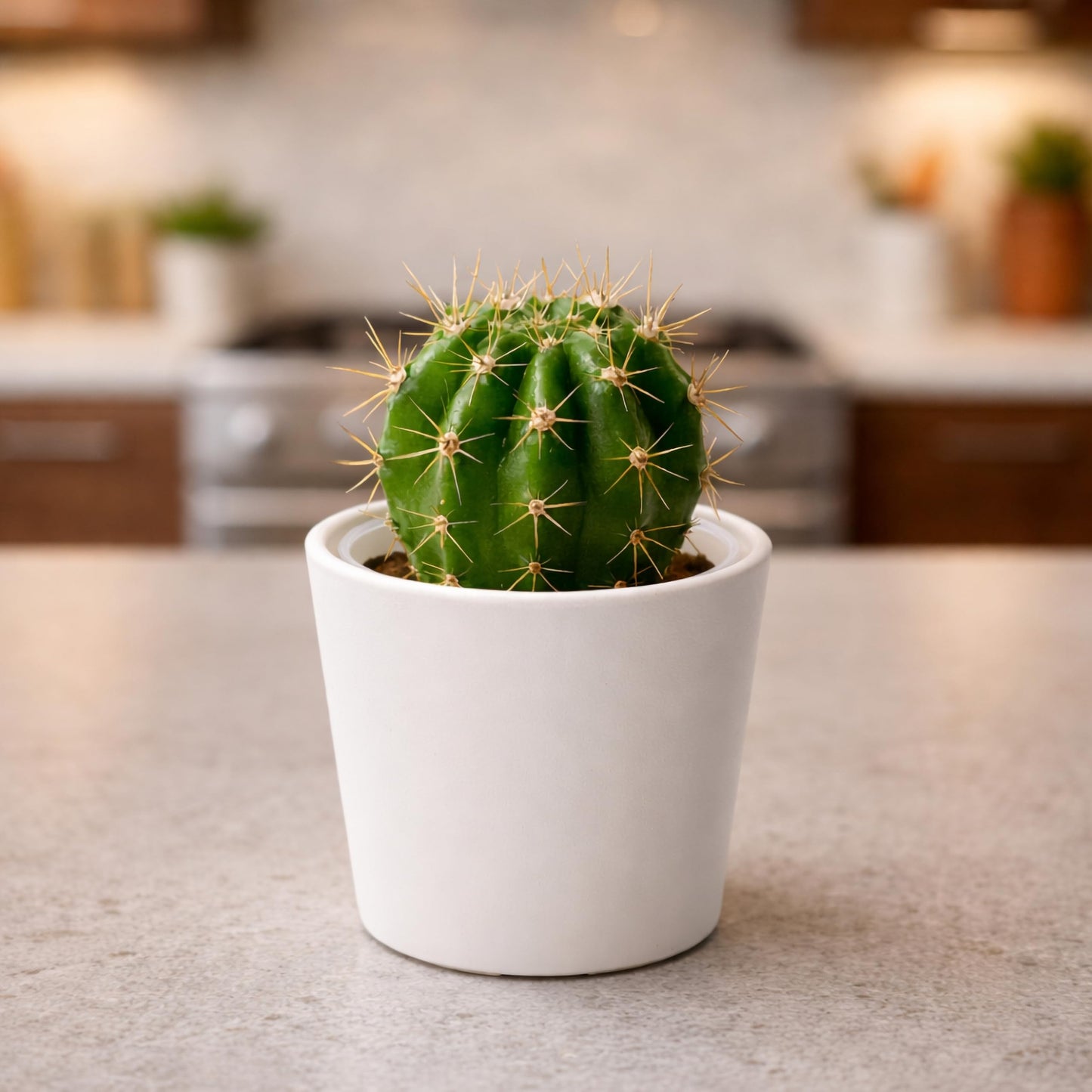 Phoenix Vine 3.5 Inch Oatmeal Plastic Cachepot with Clear Nursery Pot, Decorative Lightweight Planter Cover with Transparent Inner Pot for Indoor Houseplants, Pack of 6, 24-A-G-6