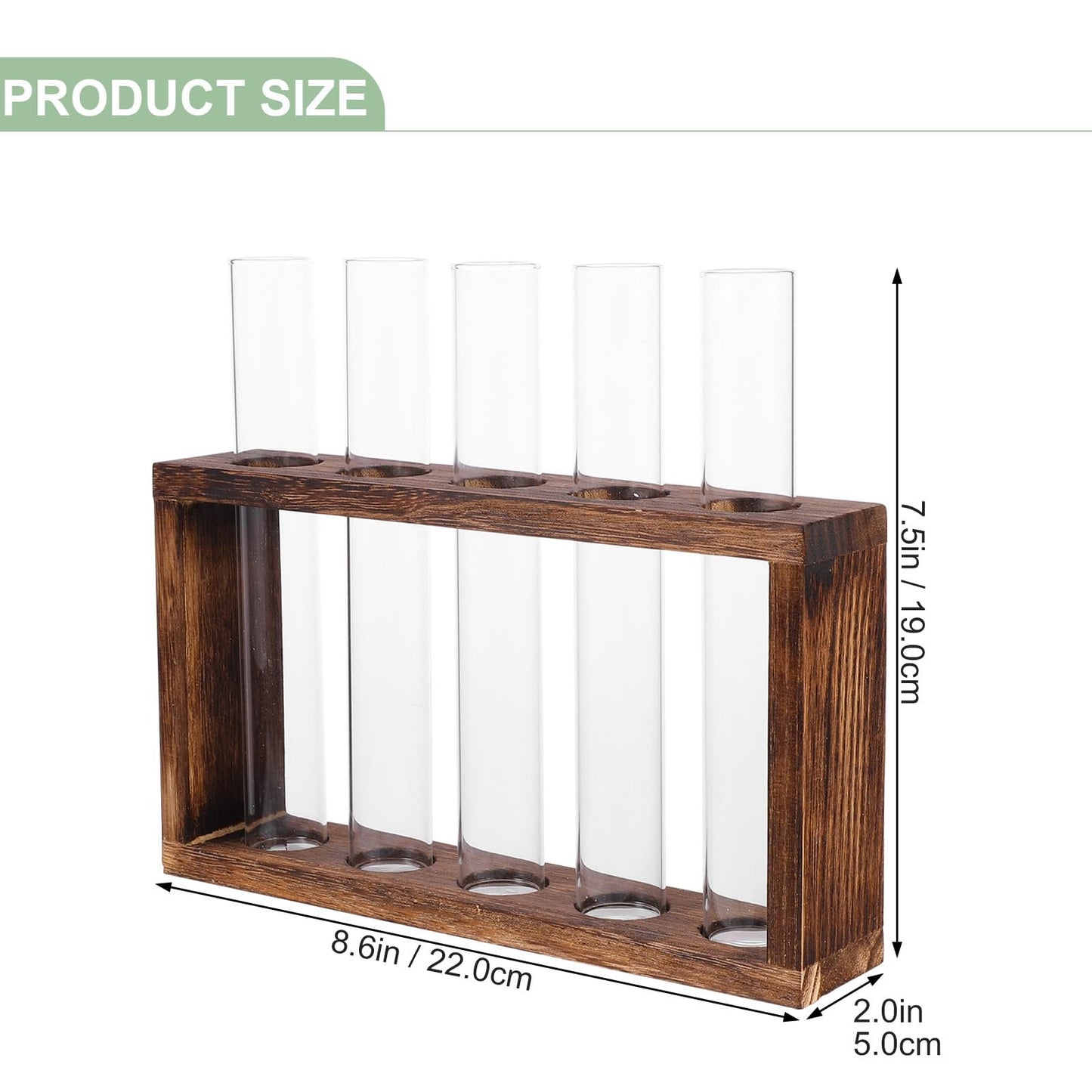FOMIYES Hydroponic Test Tube Vase Large Glass Planting Container for Water Plants, Glass Terrarium Planter for Home Décor and Indoor Greenery