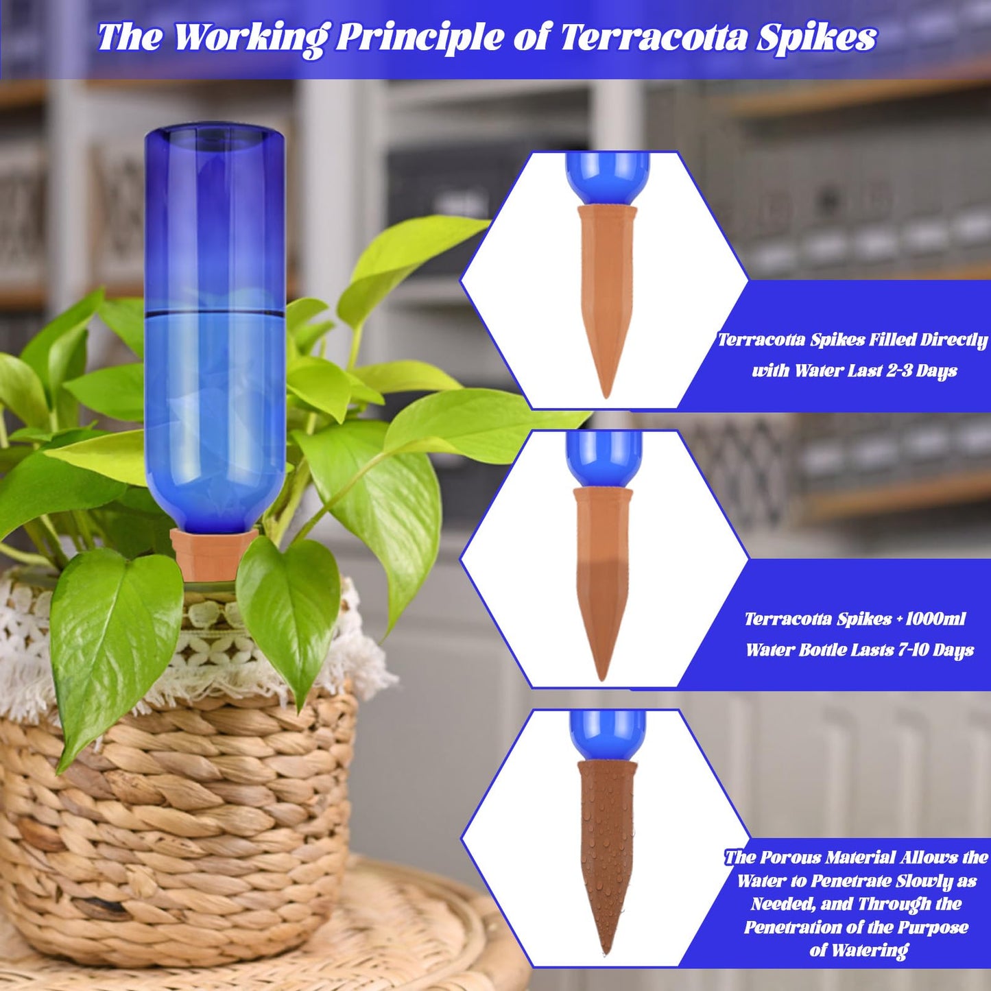 TINSKY 6 Sets Plant Watering Devices Terracotta Self Watering Spikes and 26 Oz Plastic Blue Bottles Slow Release Vacation Plant Waterer Automatic Planter Insert for Indoor Outdoor Plants