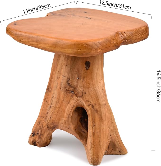 Small Side Table, Freeform Live Edge Wood Stool, Unique Design Natural Plant