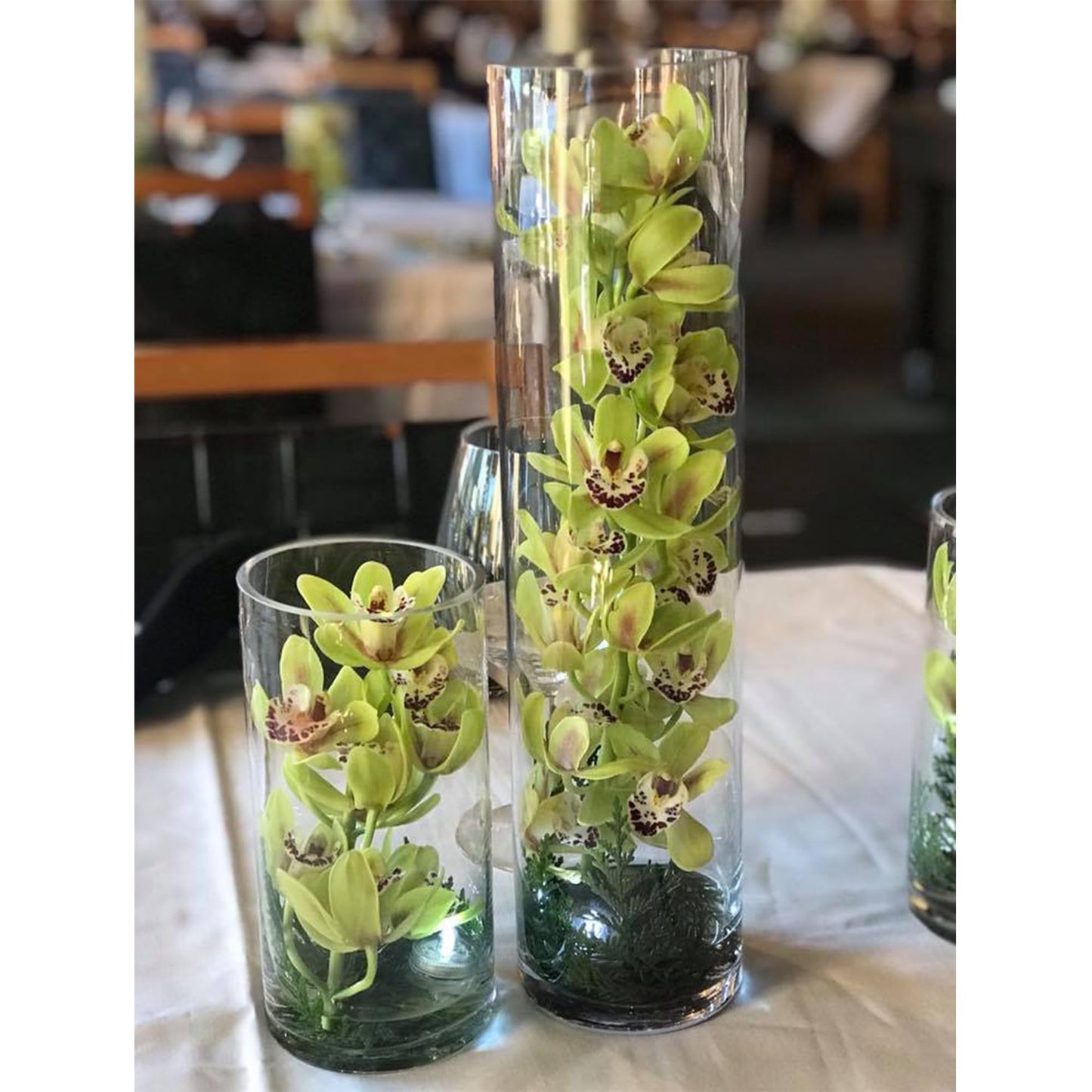 WGVI Quality Thick Clear Cylinder Glass Vase, 3" W x 5" H, Floral Container, Glass Candle Holder, Flower Vases, Wedding Centerpiece, Planter Terrarium, Table Top Home Décor Accent, 1 Piece