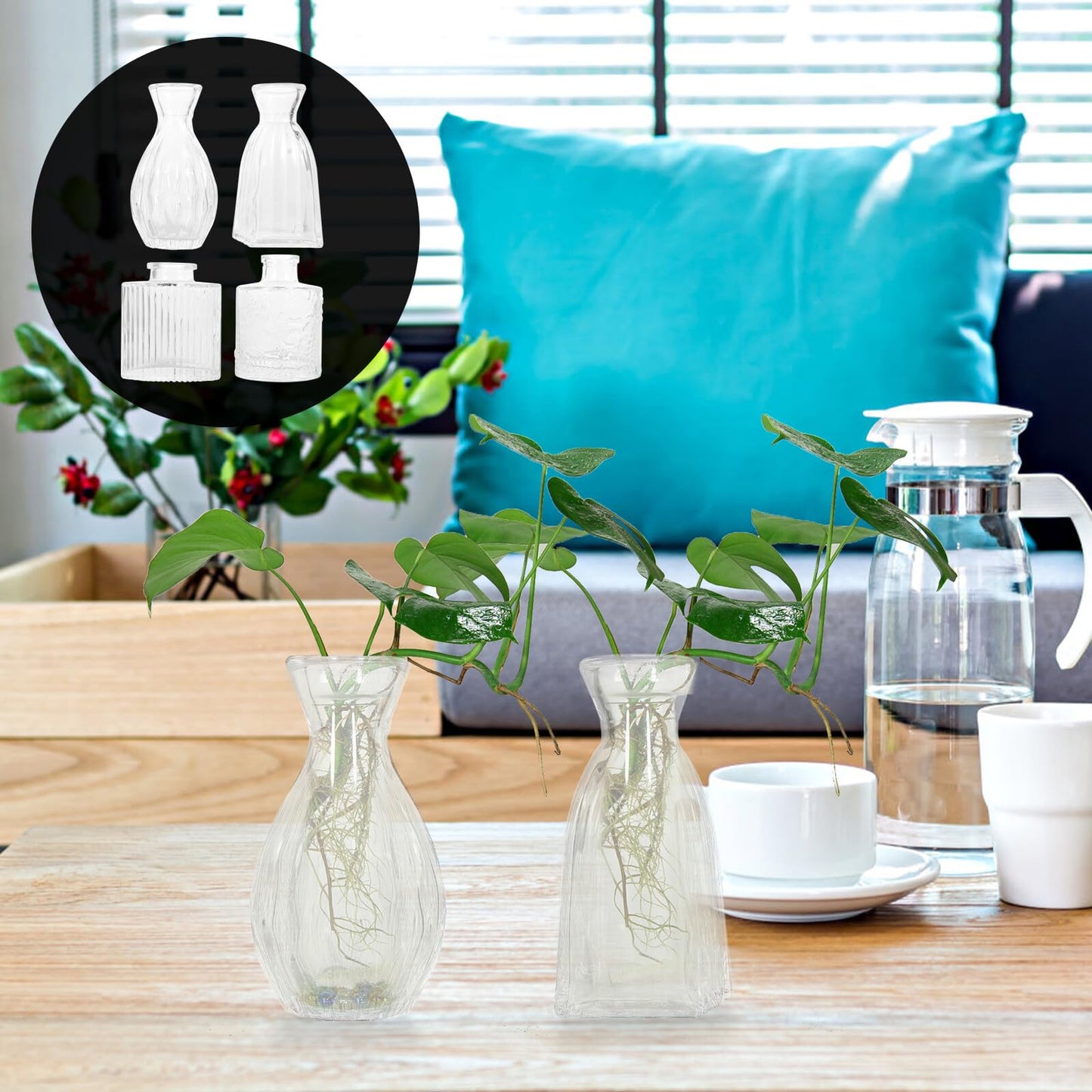 ELEOUTI 4pcs Decorative Glass Vases for Flowers Small Hydroponic Terrarium Vase for Home Décor and Indoor Plant Display