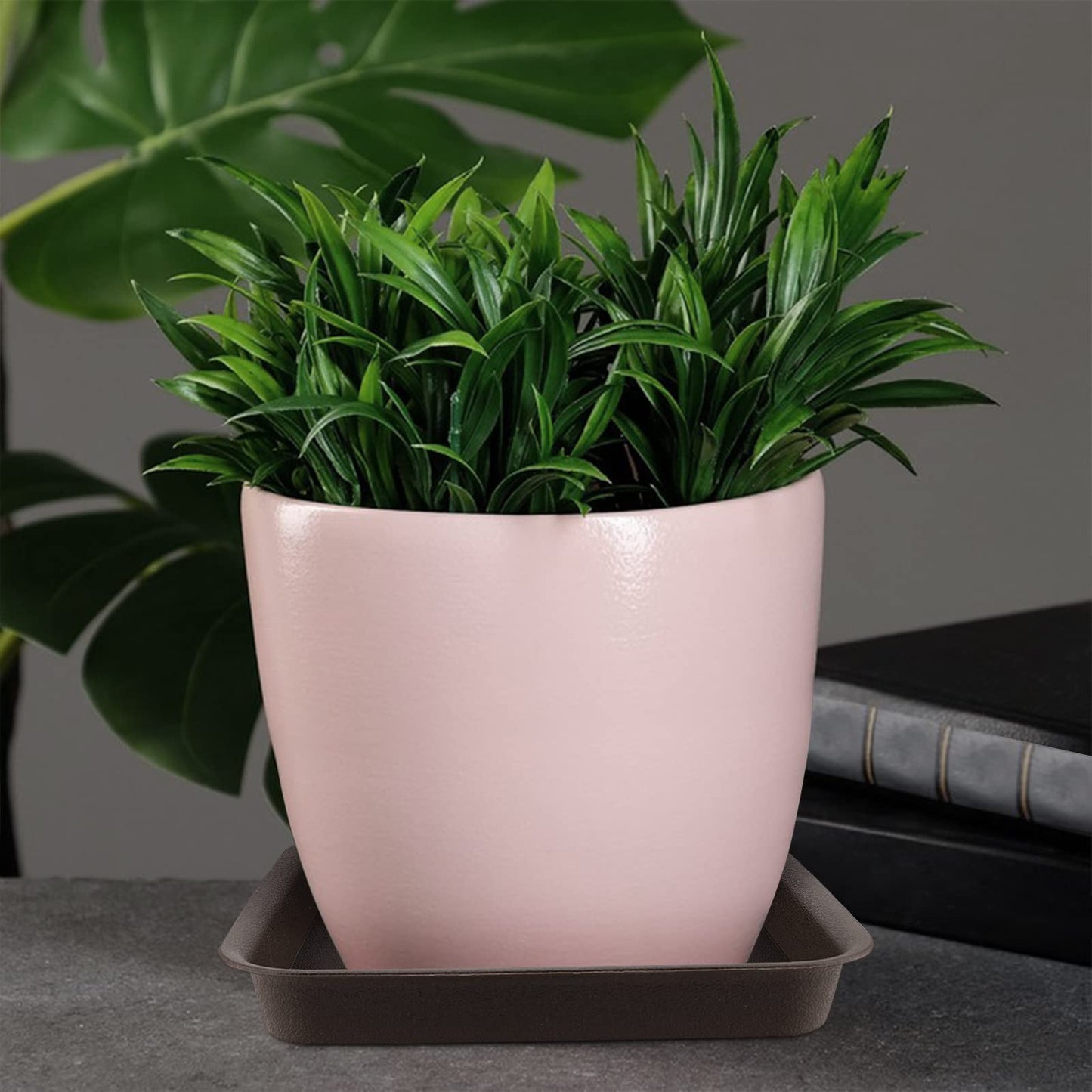 HOIGON 10 Pack 10 x 10 Inch Square Plant Saucer, Plastic Plant Saucer Drip Trays for Outdoor and Indoor Plant Pots, 1.5 Inch Deep, Dark Brown