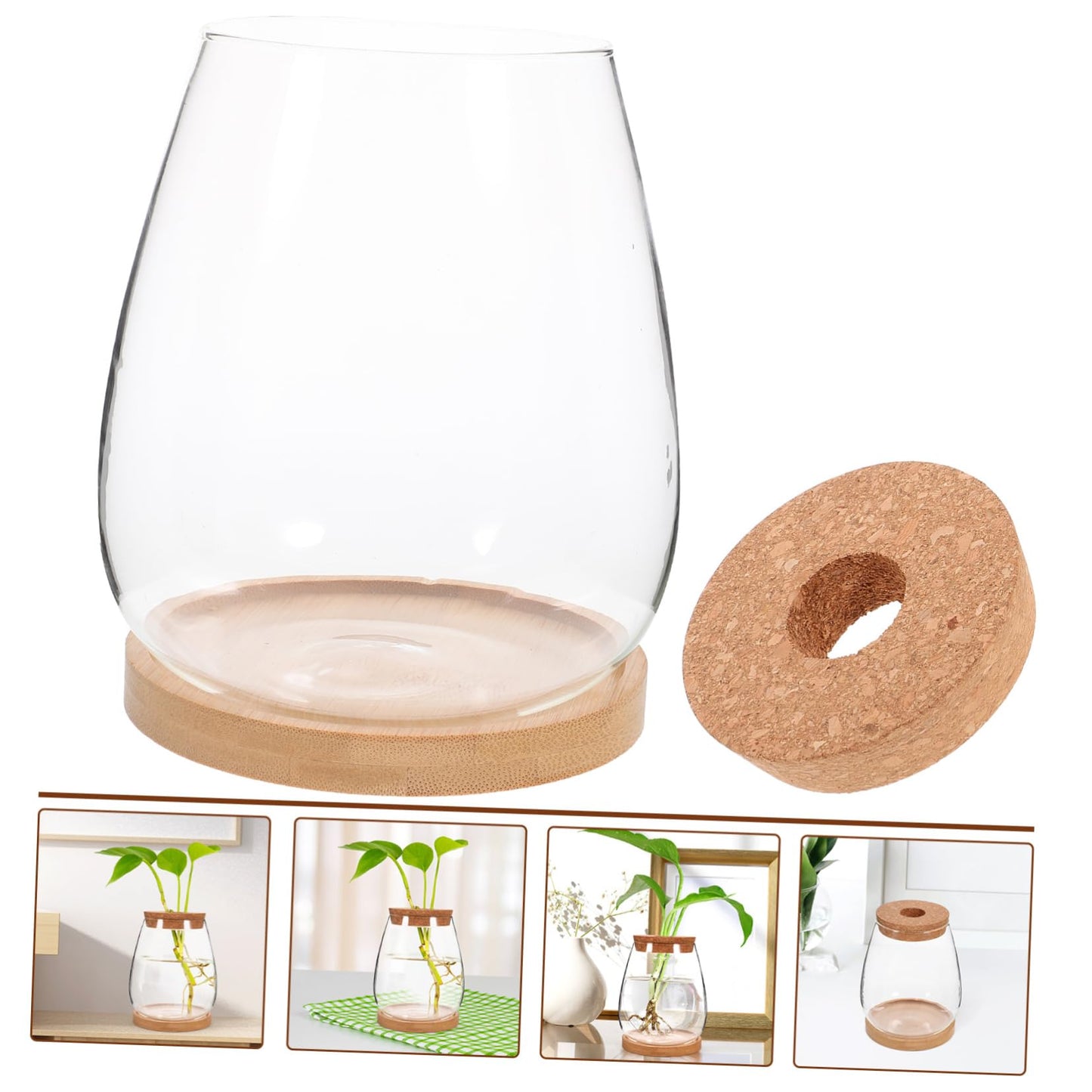 BESPORTBLE 1 Set Plant Terrarium Hydroponic Glass Vase Holder with Base Container for Plants Transparent Flower Arrangement Decor for Home Office and Garden