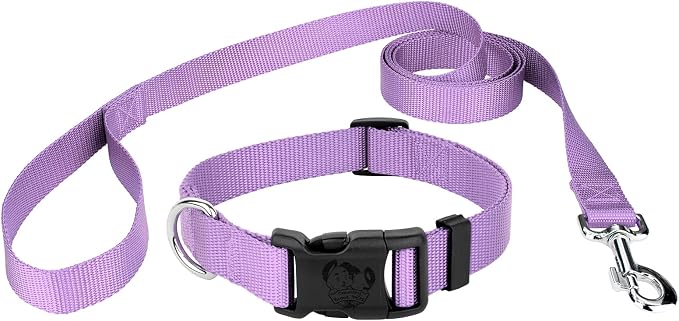 Country Brook Petz - Everyday Nylon Dog Collar and Leash - 10+ Cool Colors (1 Inch, Large, Lavender)