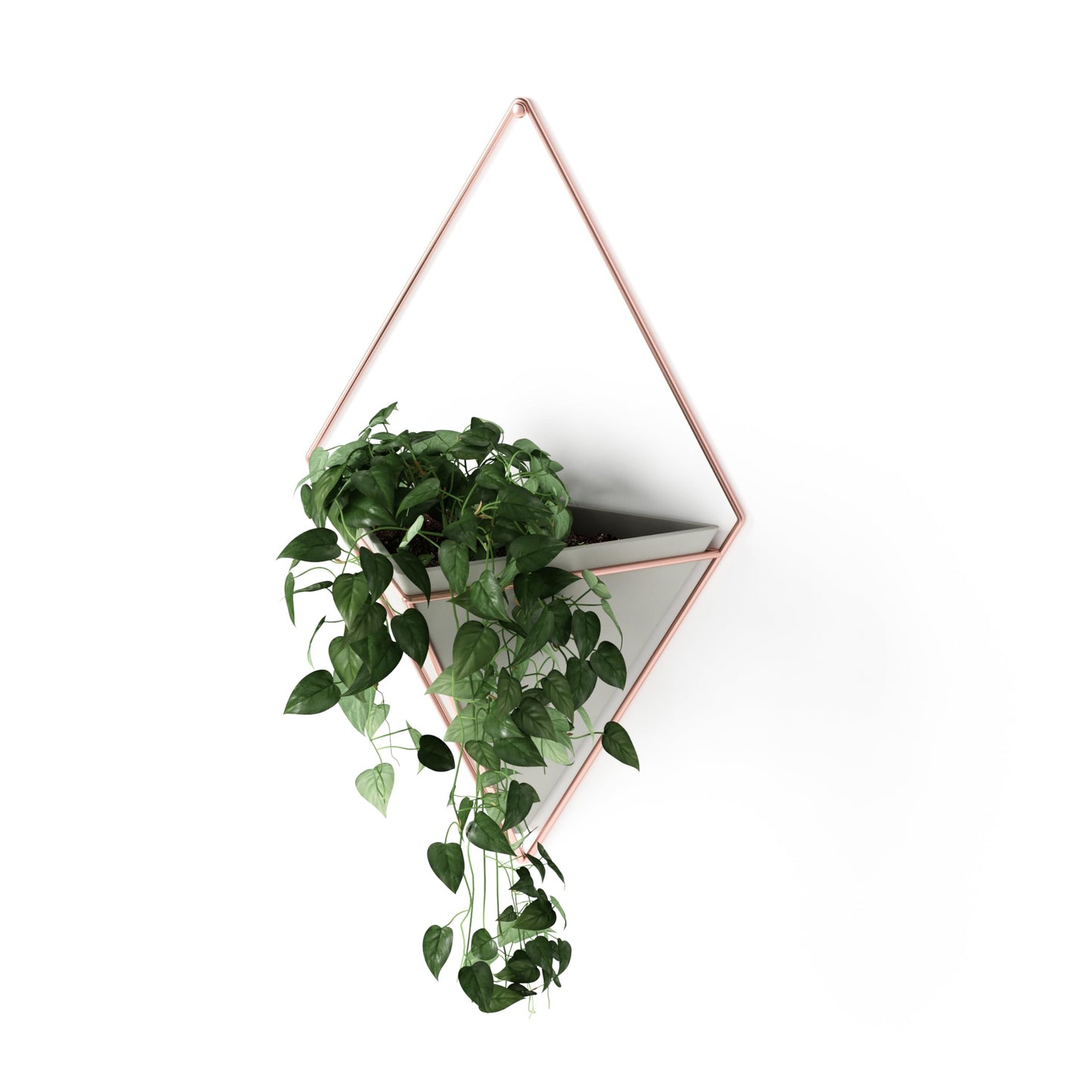 Umbra Trigg Hanging Planter Vase Wall Decor, Pot and Container for Succulents, Cactus, Faux Plants, and More, Large, Grey/Copper