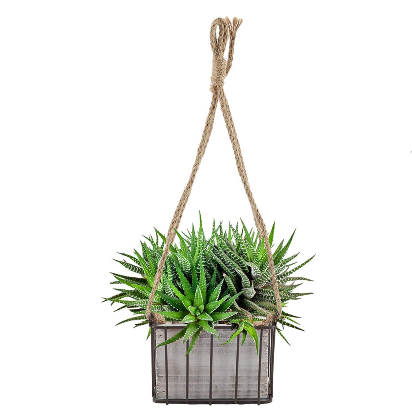 Yosoo Hanging Baskets for Plants, Home Garden Wall Storage Planter Hangings Decor Flower Plant Hanging Basket Flowerpot