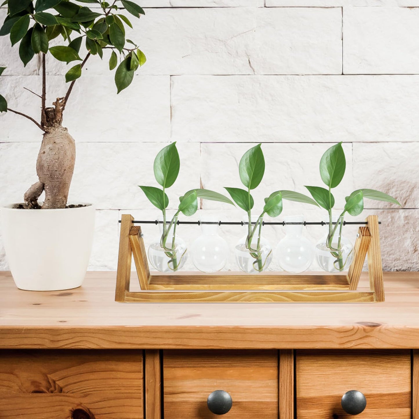 Toyvian Glass Propagation Vases Set of 5 with Wooden Stand, Glass Containers for Hydroponic Plants and Desktop Greenery Decoration, Indoor Plant Terrarium Station for Home Garden