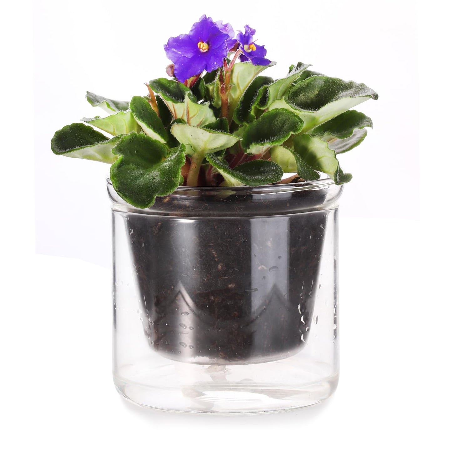 LAZUSAM 4 Inch Self Watering Pot,African Violet Pot,Bottom Watering Glass Planter for Indoor Plants and Progagation