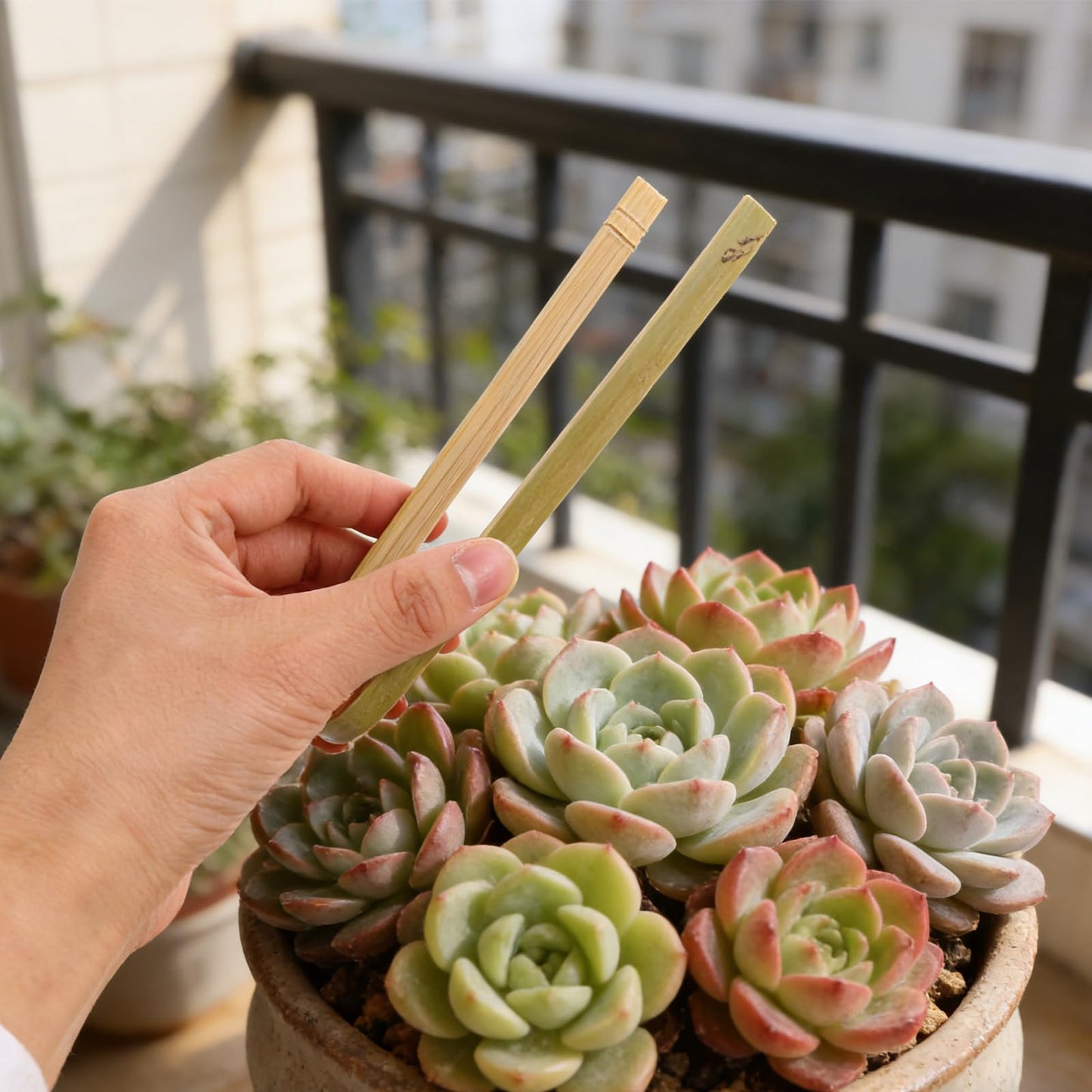 KONTONTY 20pcs Cactus Planting Tong, Potting Tools for Indoor Plants, Non-Slip Garden Tweezers for Safe Cactus and Succulent Transplant