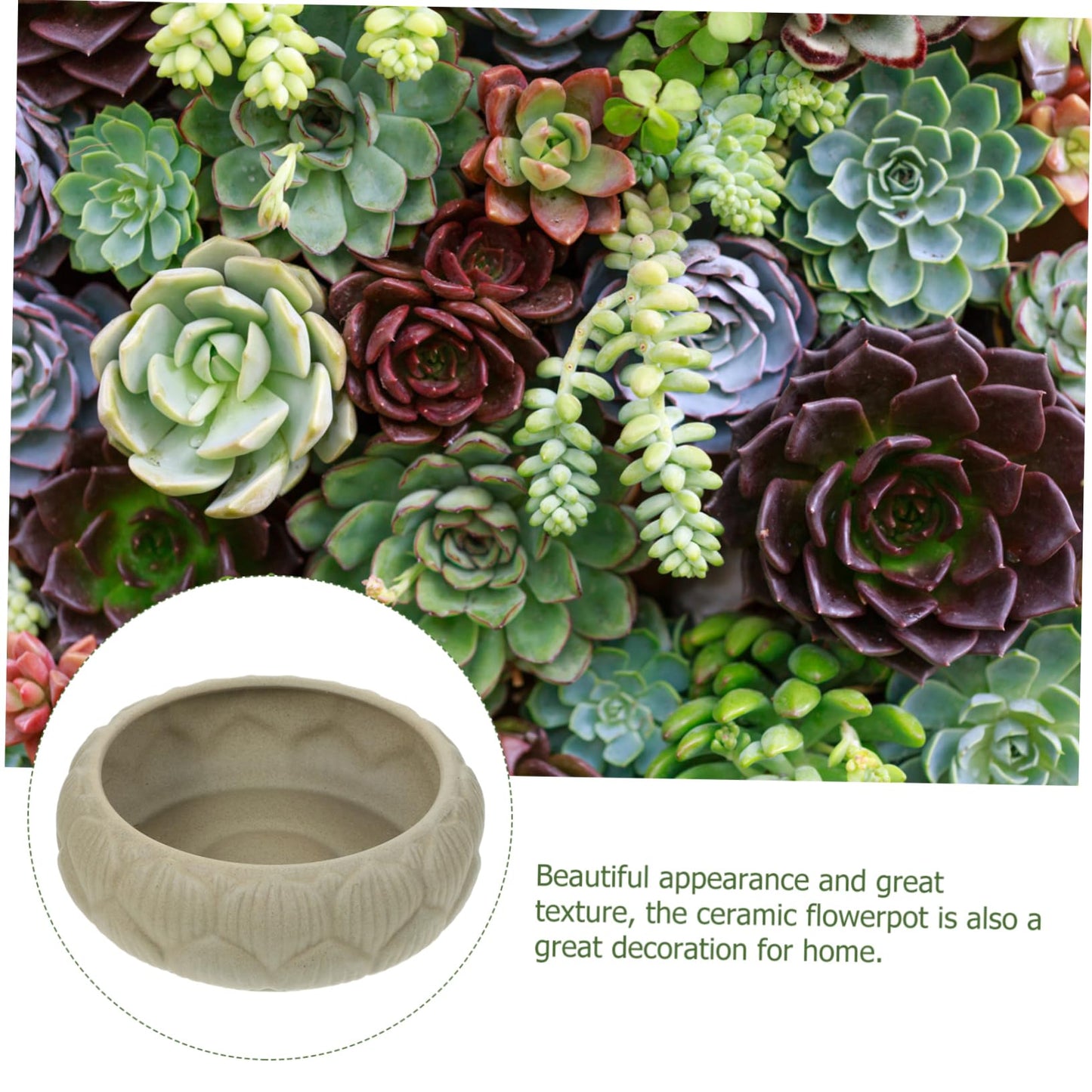 Parliky Hydroponic Planter Bowl 8.26In Round Ceramic Flower Pot for Water Lily Succulents Indoor Garden Decoration and Storage Container