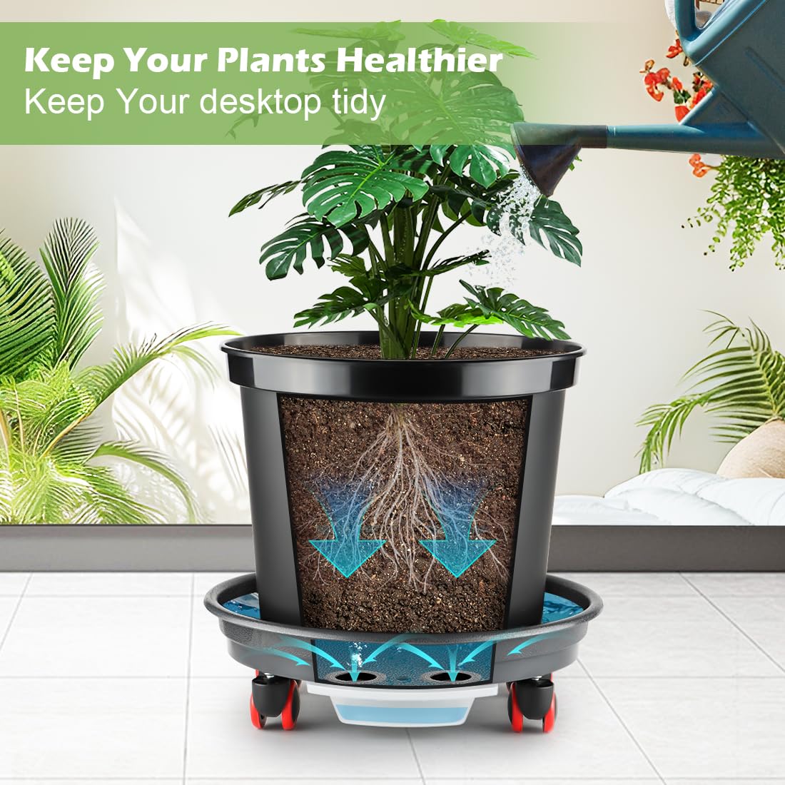 RooTrimmer 13 Inch Plant Stand Rolling Tray Plant Caddy with Wheels and Removable Drainage Holes and Drip Tray Plant Dolly for Heavy Duty Large Plants Rollers (2 Pack)