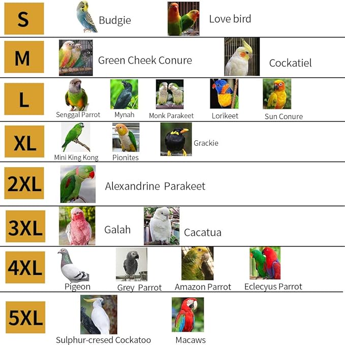 Bird Flight Harness Vest, Parrot Flight Suit with Leash, Bird Flying Clothes with Rope and Handle for Outdoor Activities (Without Leash,Cockatiel) (Without, 2XL)