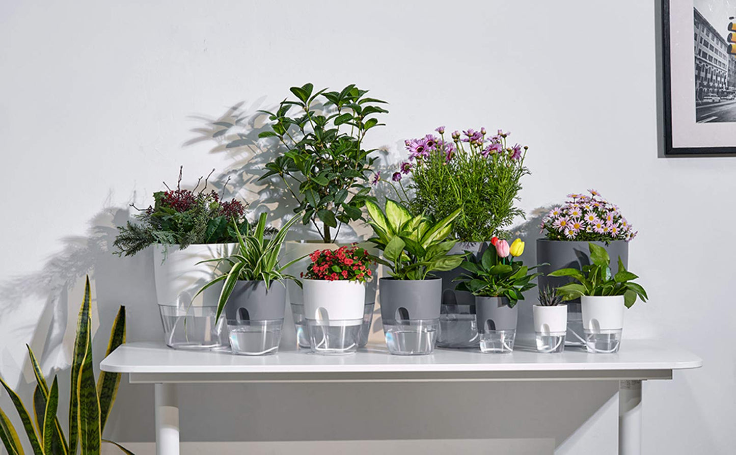 ETGLCOZY Self Watering Pots for Indoor Plants, 5 Pack 6/4.1/3.2 Inch Flower Pot Modern Decorative Plastic Planter with Extra Large Water Storage for All House Plants, Flowers, Herbs(White)